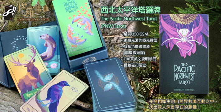 西北太平洋