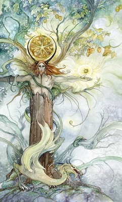 幻影塔罗牌