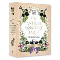 古典解剖塔羅牌Antique Anatomy Tarot