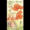 花卉精靈塔羅..